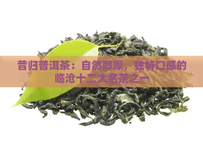 昔归普洱茶：自然醇厚，独特口感的临沧十二大名茶之一