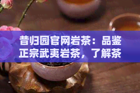 昔归园官网岩茶：品鉴正宗武夷岩茶，了解茶叶历与传统制作工艺