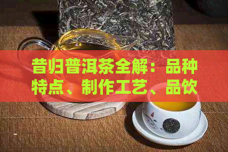 昔归普洱茶全解：品种特点、制作工艺、品饮方法及收藏价值一应俱全