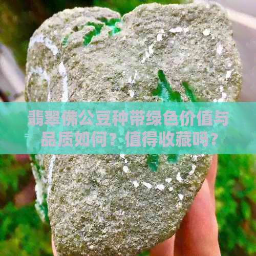 翡翠佛公豆种带绿色价值与品质如何？值得收藏吗？