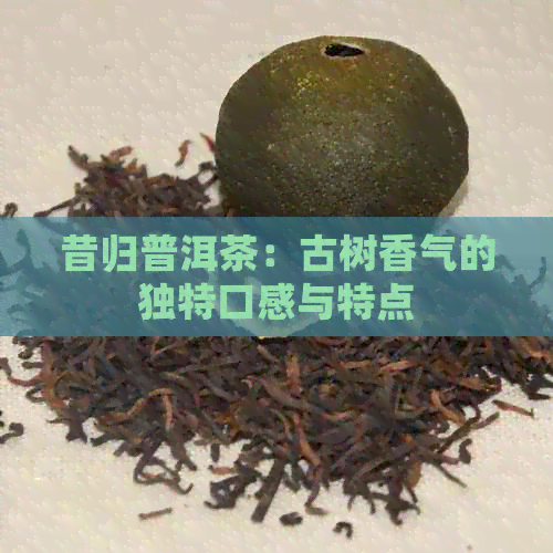 昔归普洱茶：古树香气的独特口感与特点