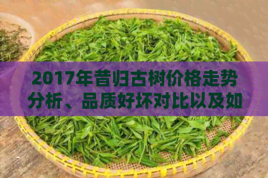 2017年昔归古树价格走势分析、品质好坏对比以及如何选购和保养