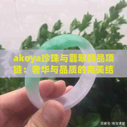 akoya珍珠与翡翠精品项链：奢华与品质的完美结合