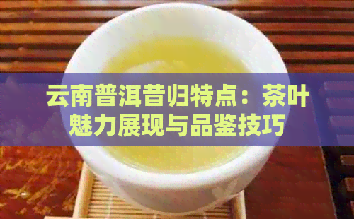 云南普洱昔归特点：茶叶魅力展现与品鉴技巧