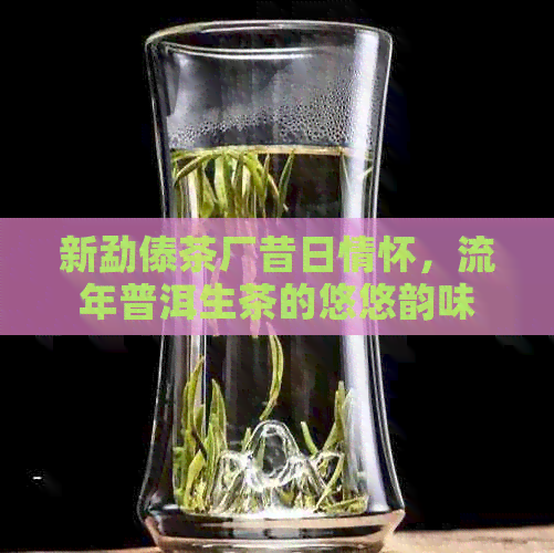 新勐傣茶厂昔日情怀，流年普洱生茶的悠悠韵味