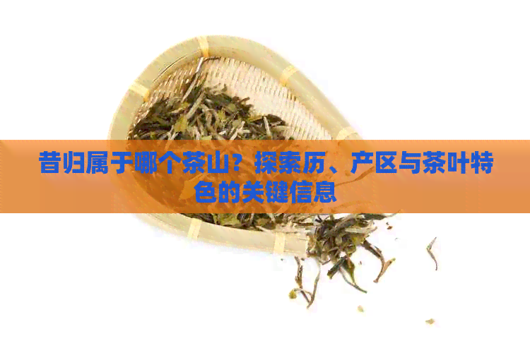 昔归属于哪个茶山？探索历、产区与茶叶特色的关键信息