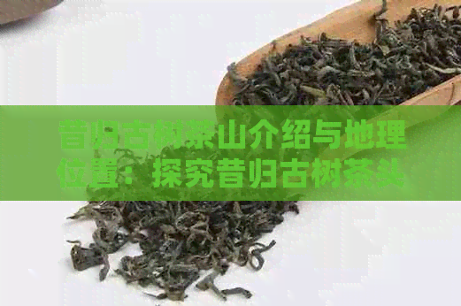 昔归古树茶山介绍与地理位置：探究昔归古树茶头价及产地