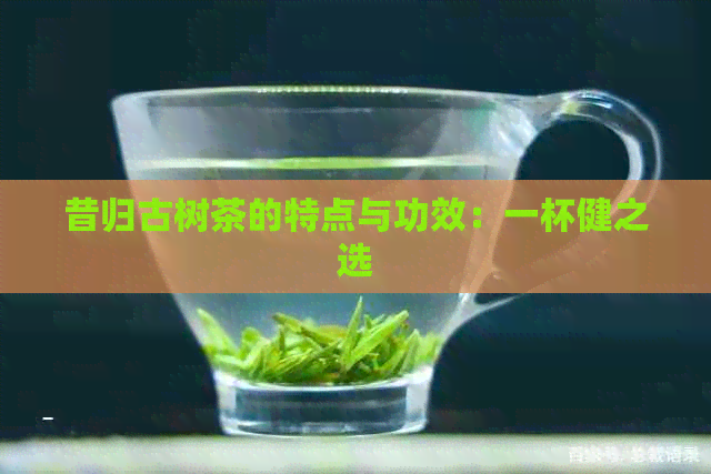 昔归古树茶的特点与功效：一杯健之选