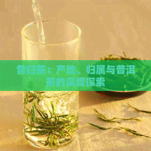 昔归茶：产地、归属与普洱茶的深度探索