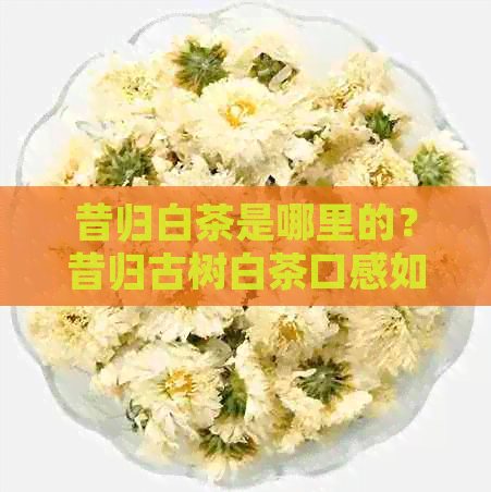 昔归白茶是哪里的？昔归古树白茶口感如何？昔归白茶怎么样？