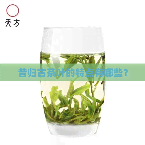 昔归古茶叶的特点有哪些？