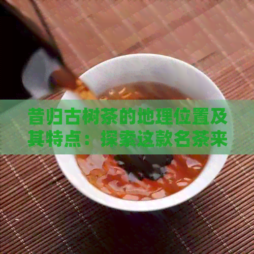 昔归古树茶的地理位置及其特点：探索这款名茶来自何处，品味其独特风味