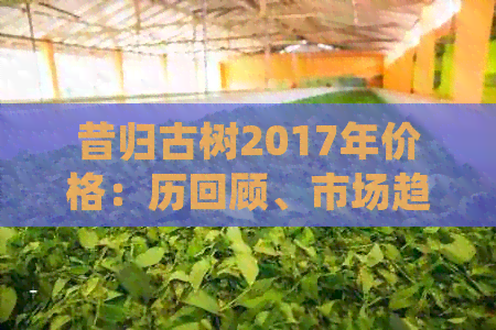 昔归古树2017年价格：历回顾、市场趋势与投资分析