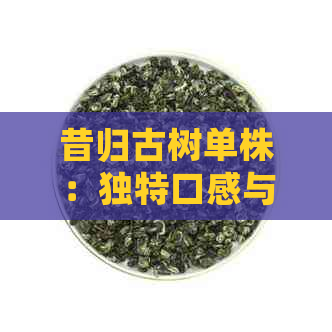 昔归古树单株：独特口感与普洱茶文化深度解析