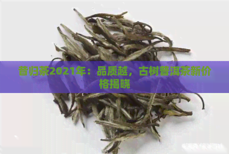 昔归茶2021年：品质越，古树普洱茶新价格揭晓