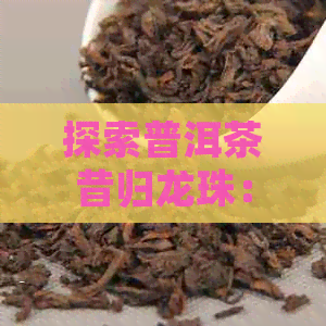 探索普洱茶昔归龙珠：品种特点、制作工艺与品味体验的全面指南