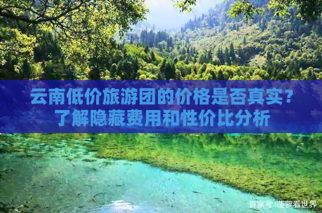 云南低价旅游团的价格是否真实？了解隐藏费用和性价比分析