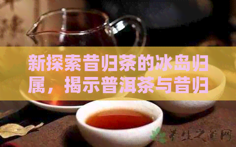 新探索昔归茶的冰岛归属，揭示普洱茶与昔归茶的区别