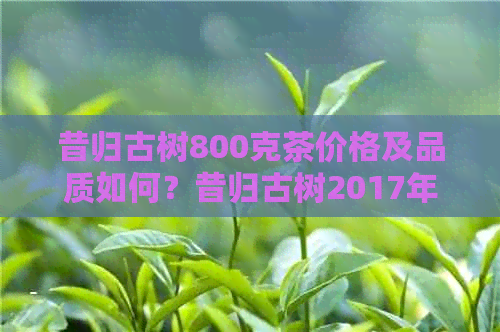 昔归古树800克茶价格及品质如何？昔归古树2017年单株价格解析。