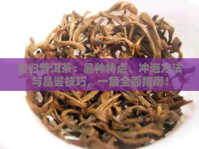 昔归普洱茶：品种特点、冲泡方法与品鉴技巧，一篇全面指南！