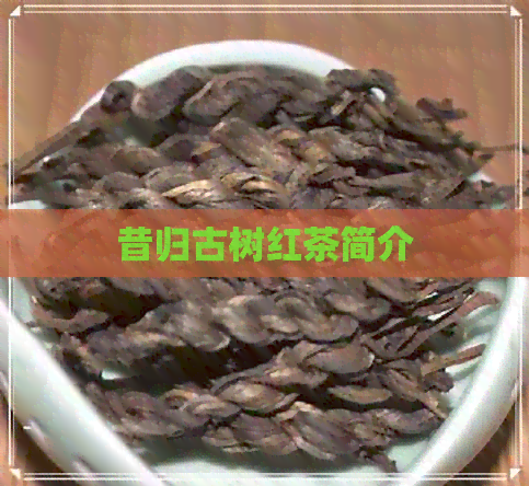 昔归古树红茶简介