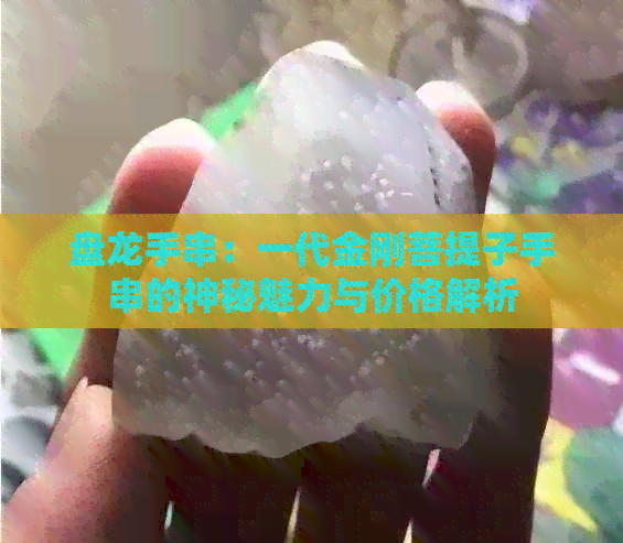 盘龙手串：一代金刚菩提子手串的神秘魅力与价格解析