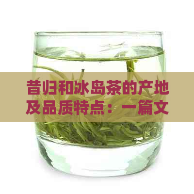 昔归和冰岛茶的产地及品质特点：一篇文章全面解答您的疑问