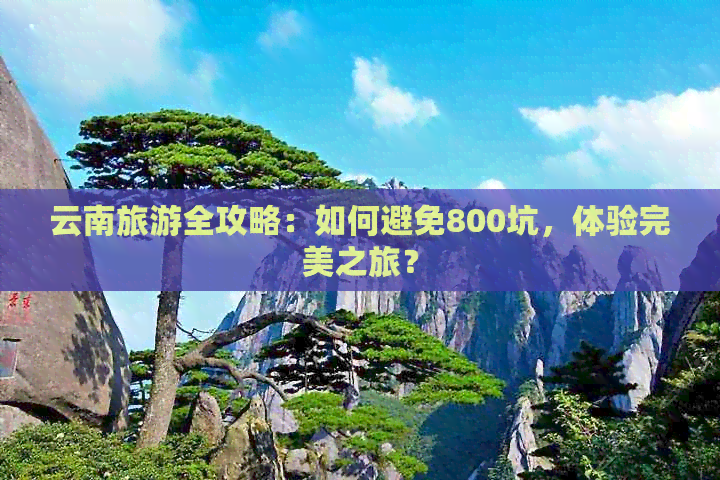 云南旅游全攻略：如何避免800坑，体验完美之旅？