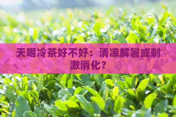 天喝冷茶好不好：清凉解暑或刺激消化？