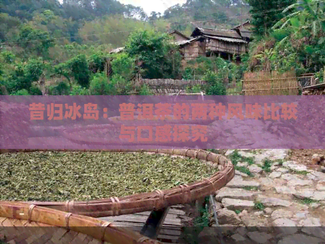 昔归冰岛：普洱茶的两种风味比较与口感探究