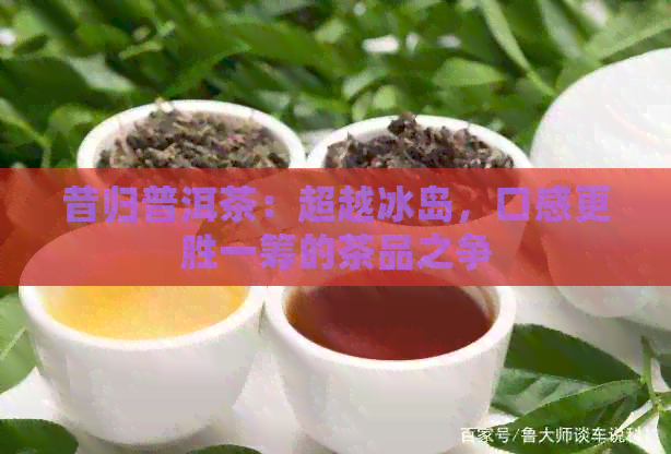 昔归普洱茶：超越冰岛，口感更胜一筹的茶品之争