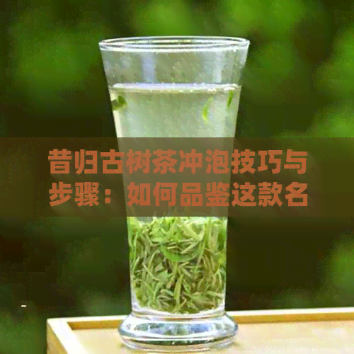 昔归古树茶冲泡技巧与步骤：如何品鉴这款名茶并正确冲泡？