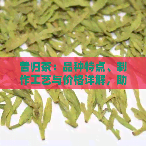 昔归茶：品种特点、制作工艺与价格详解，助您全面了解昔归茶