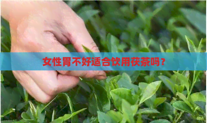 女性胃不好适合饮用茯茶吗？