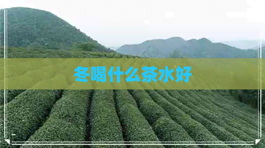 冬喝什么茶水好