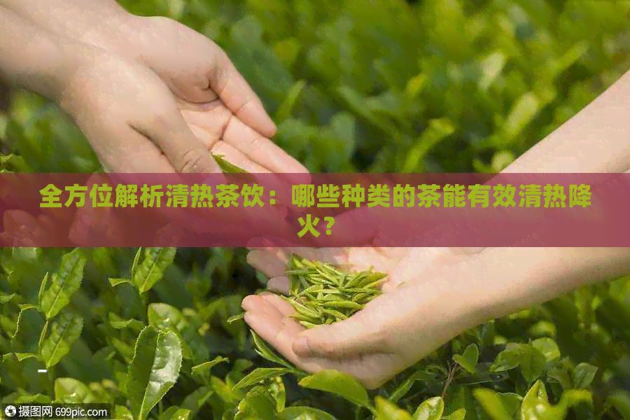 全方位解析清热茶饮：哪些种类的茶能有效清热降火？