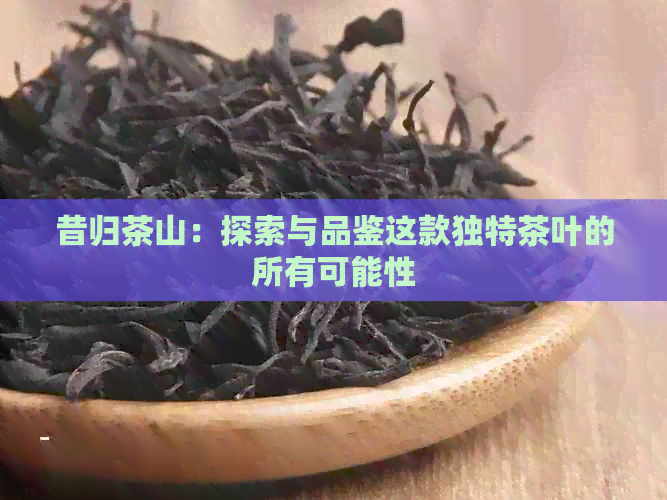 昔归茶山：探索与品鉴这款独特茶叶的所有可能性