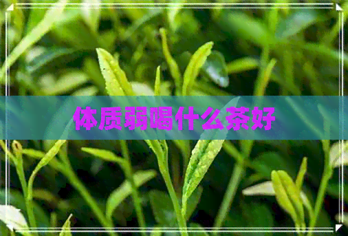 体质弱喝什么茶好