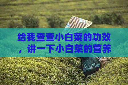 给我查查小白菜的功效，讲一下小白菜的营养价值和药用功效