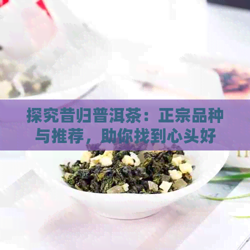 探究昔归普洱茶：正宗品种与推荐，助你找到心头好