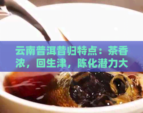 云南普洱昔归特点：茶香浓，回生津，陈化潜力大