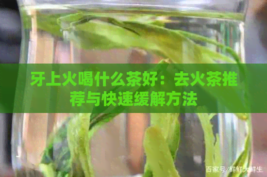 牙上火喝什么茶好：去火茶推荐与快速缓解方法