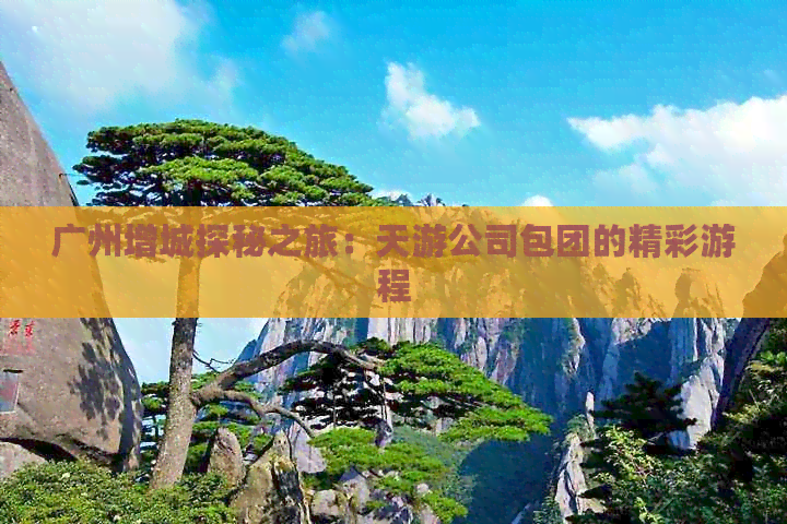 广州增城探秘之旅：天游公司包团的精彩游程