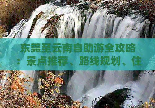 东莞至云南自助游全攻略：景点推荐、路线规划、住宿及美食一应俱全