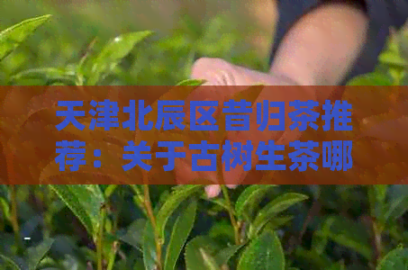 天津北辰区昔归茶推荐：关于古树生茶哪家靠谱的法院判决