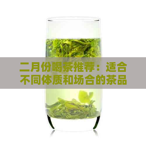 二月份喝茶推荐：适合不同体质和场合的茶品一览，让你轻松选择！