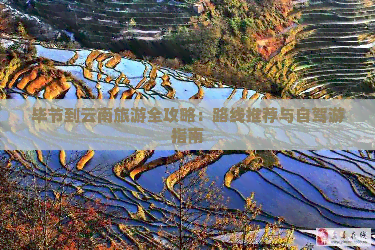 毕节到云南旅游全攻略：路线推荐与自驾游指南