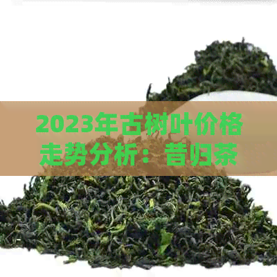 2023年古树叶价格走势分析：昔归茶的历、品质与价格全面解析