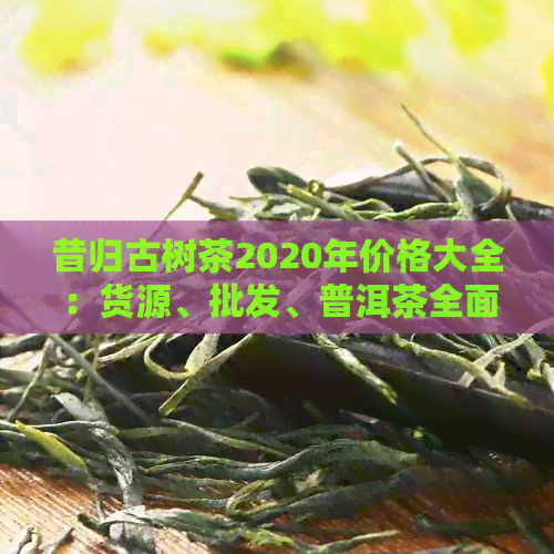 昔归古树茶2020年价格大全：货源、批发、普洱茶全面解析