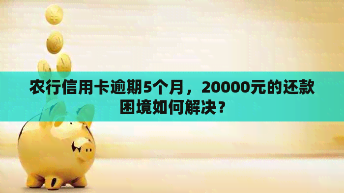 农行信用卡逾期5个月，20000元的还款困境如何解决？